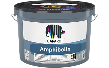 062071_Amphibolin_10_L_NE