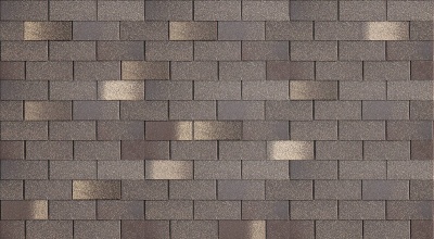 Flamenko-Aragon_utro