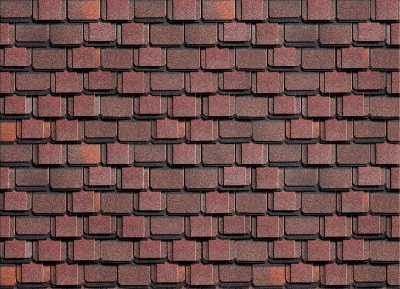 Kontinent_Amerika_utro