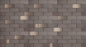 Flamenko-Aragon_utro