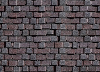 Kontinent_Aziya_utro