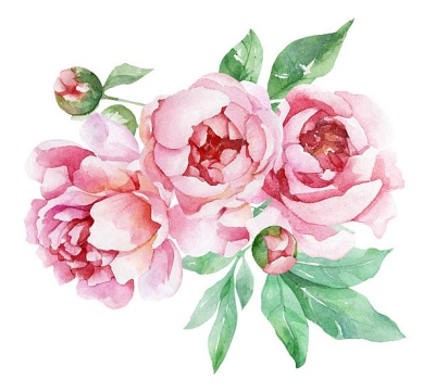 peony-flower-clipart-1