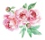 peony-flower-clipart-1