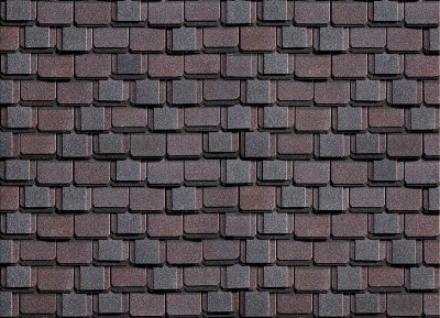 Kontinent_Aziya_utro