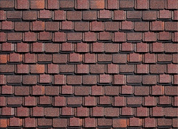 Kontinent_Amerika_utro